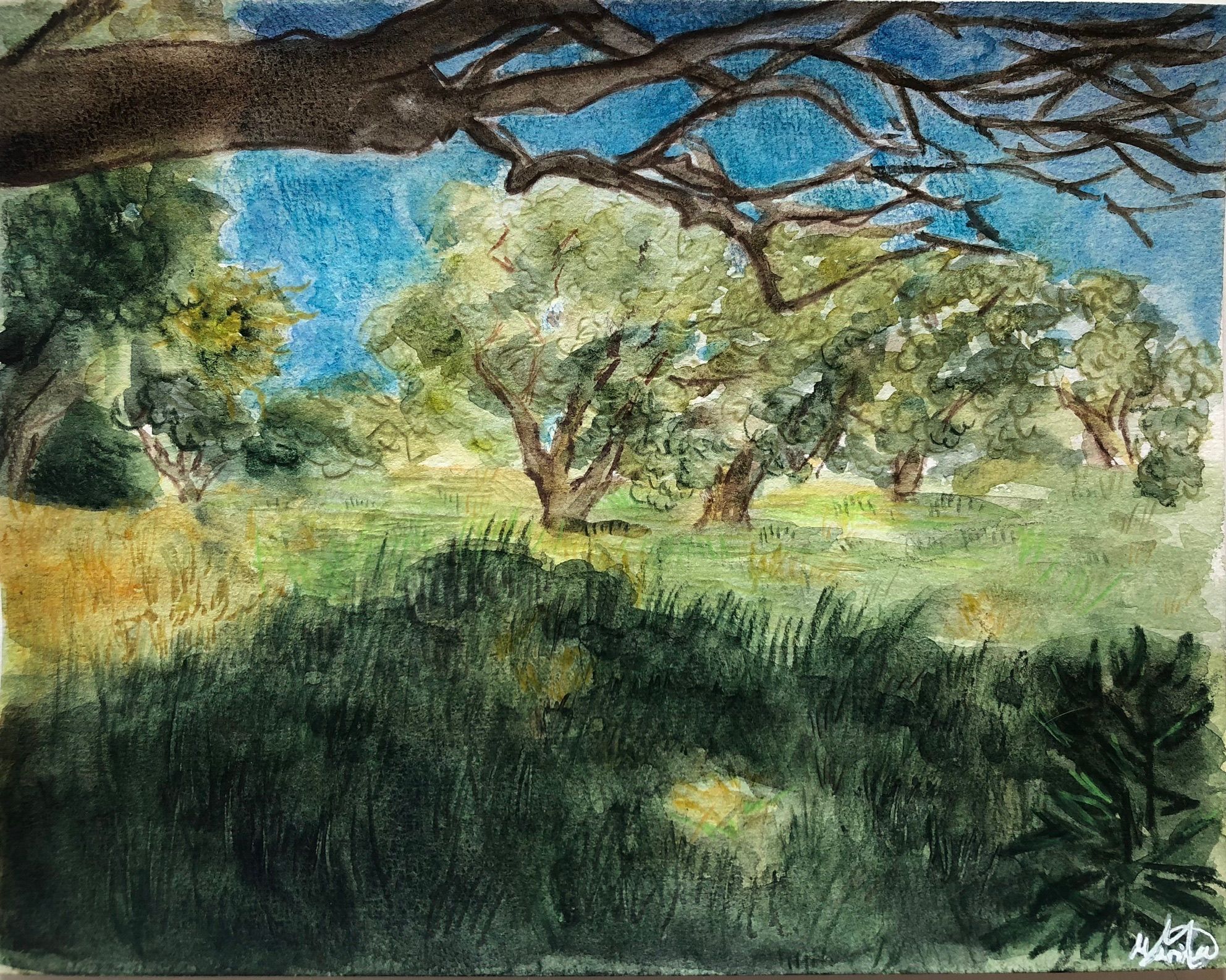 Artwork from the landscapes collection.