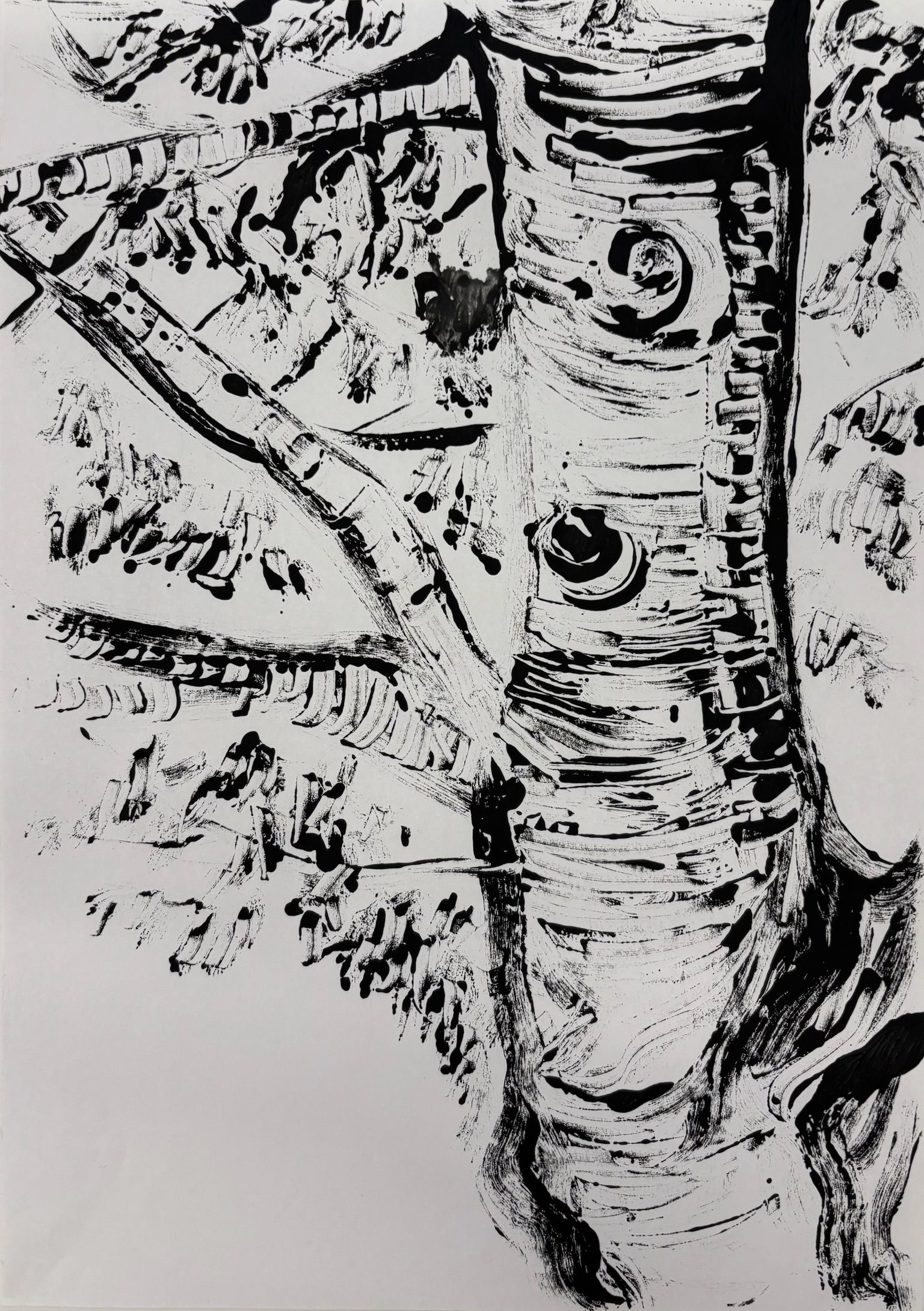 Artwork from the treebark collection.