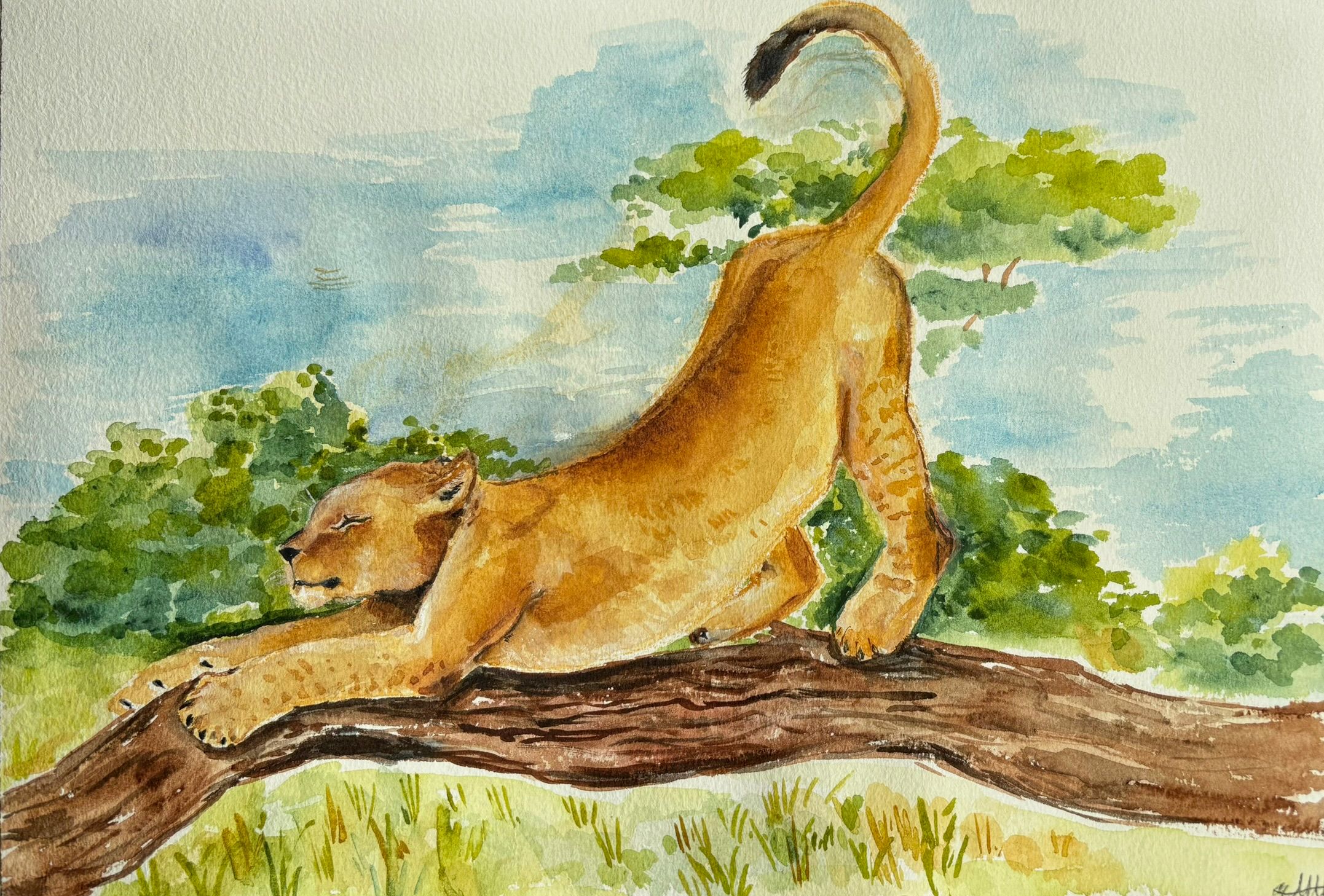 Artwork from the landscapes collection.