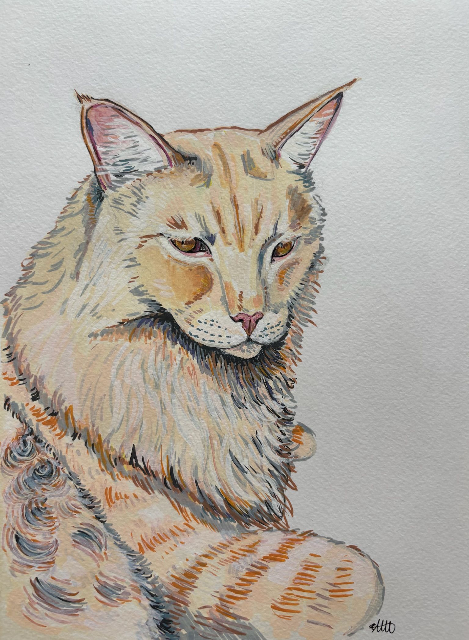 Artwork from the pet portraits collection.