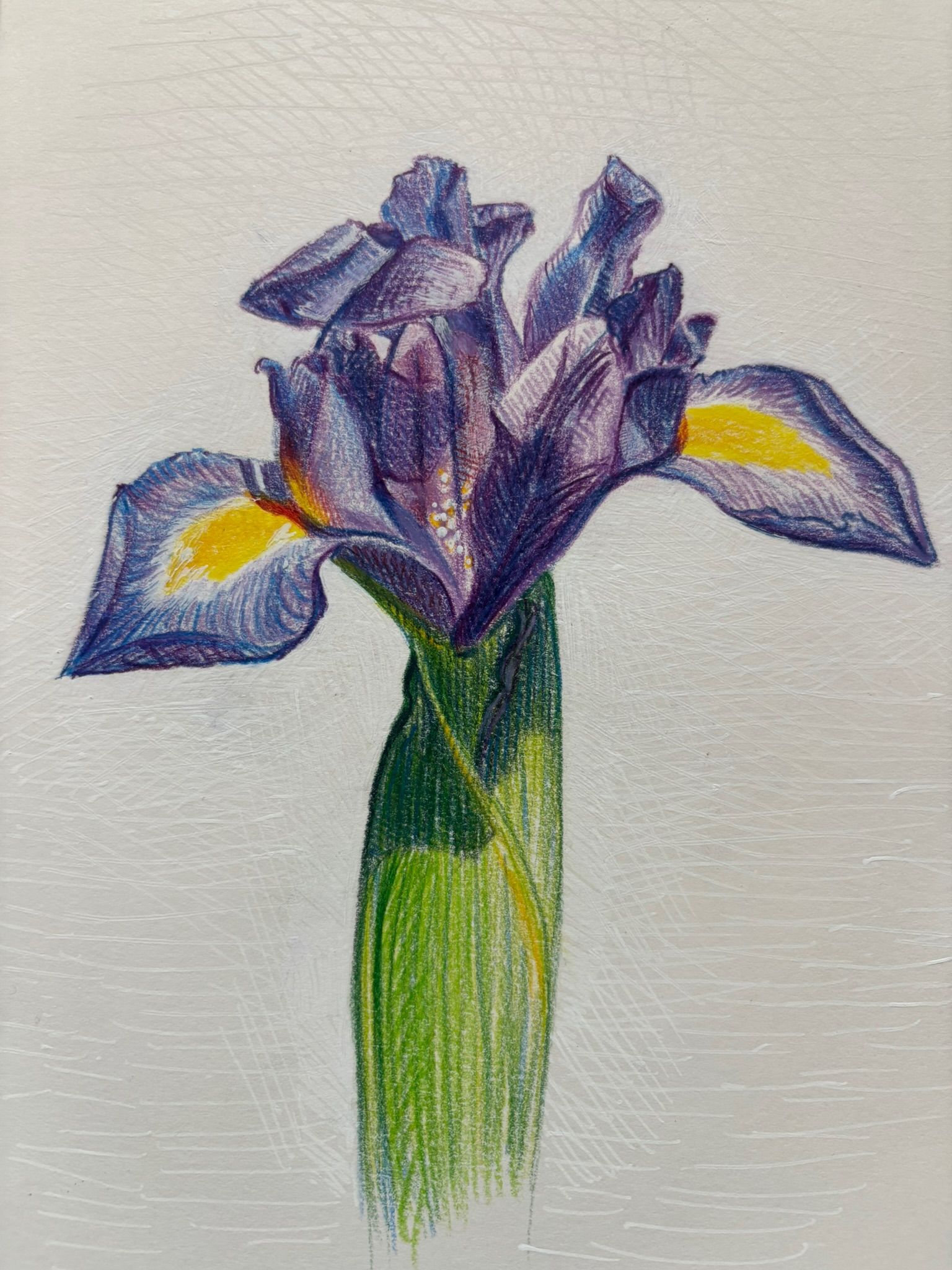 Artwork from the food studies collection.