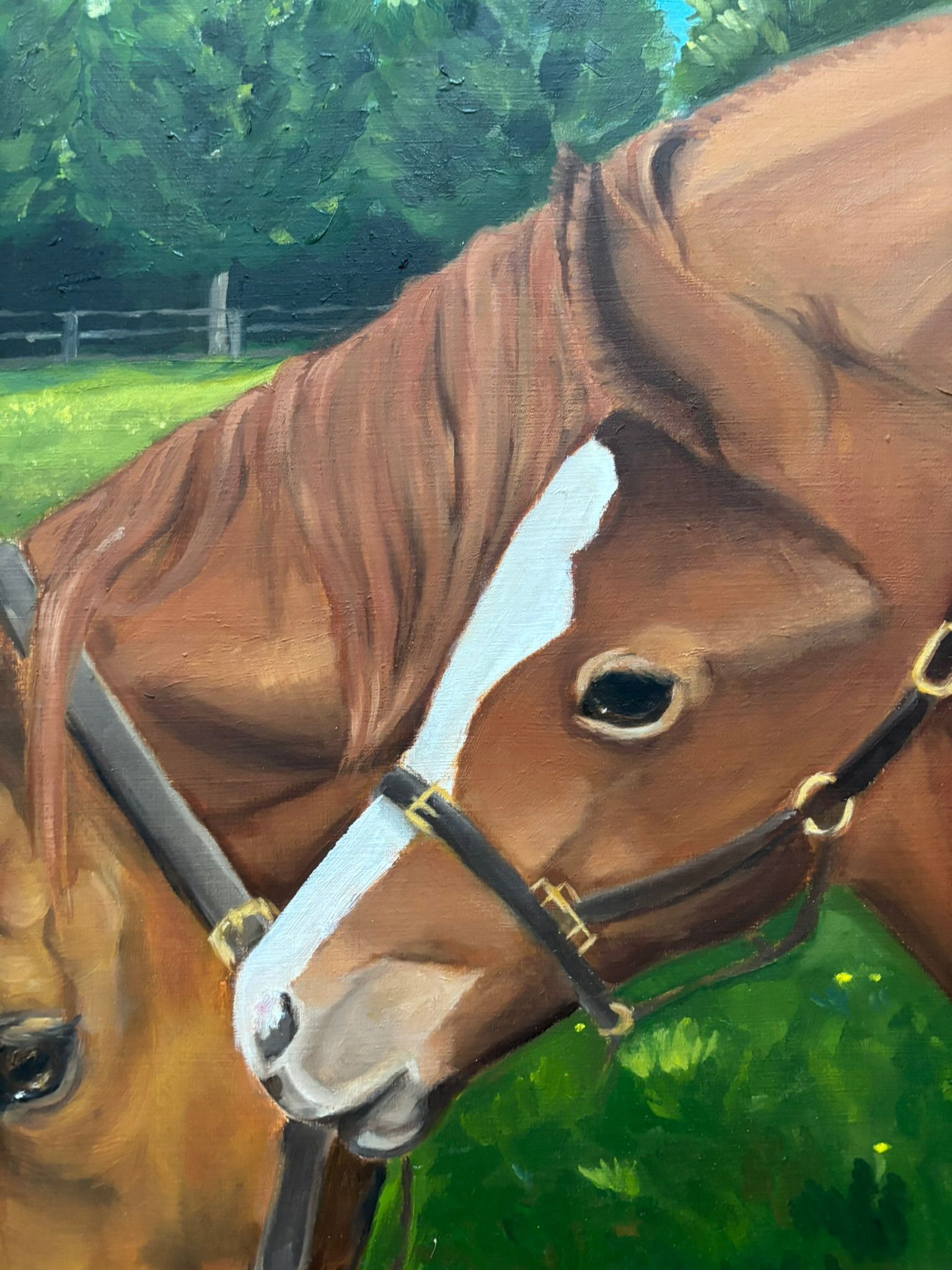 Artwork from the pet portraits collection.