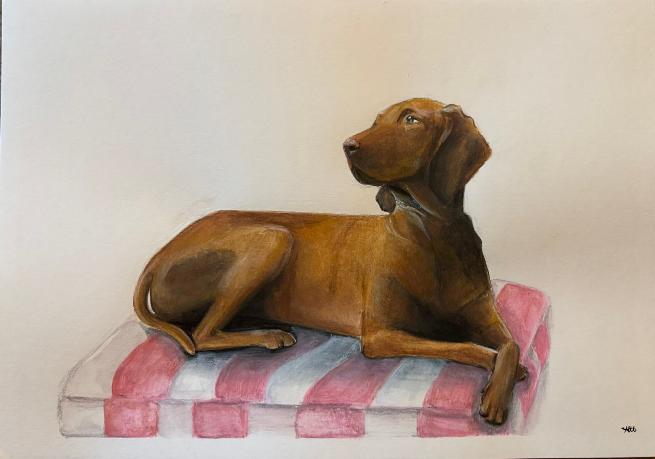 Artwork from the pet portraits collection.