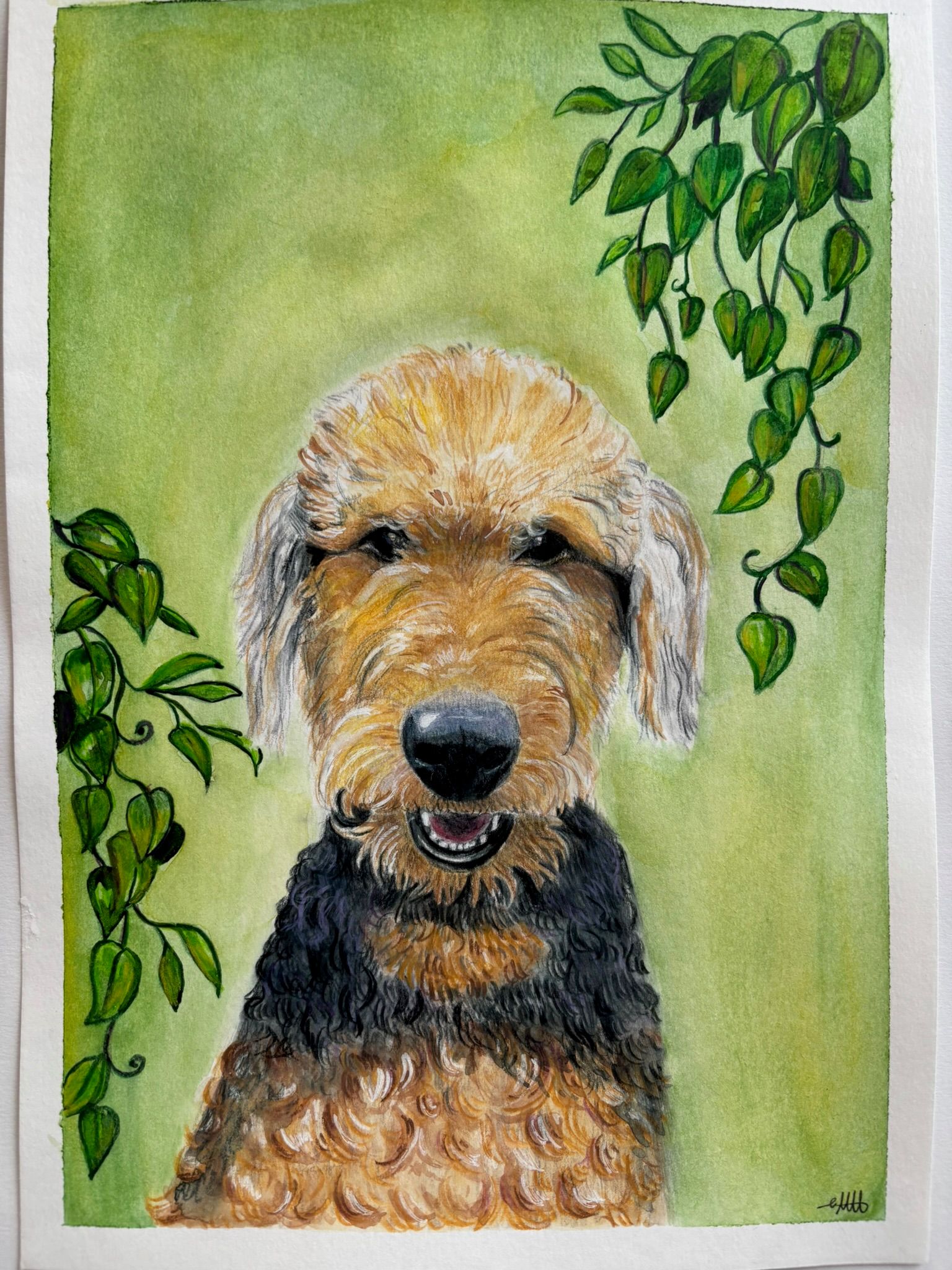 Artwork from the pet portraits collection.